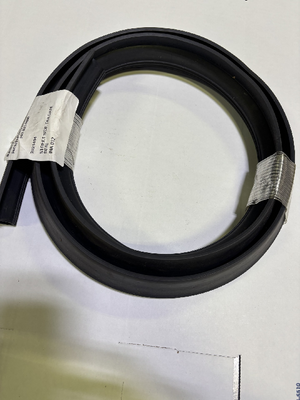 STREET SIDE TAILGATE SEAL (2021494)