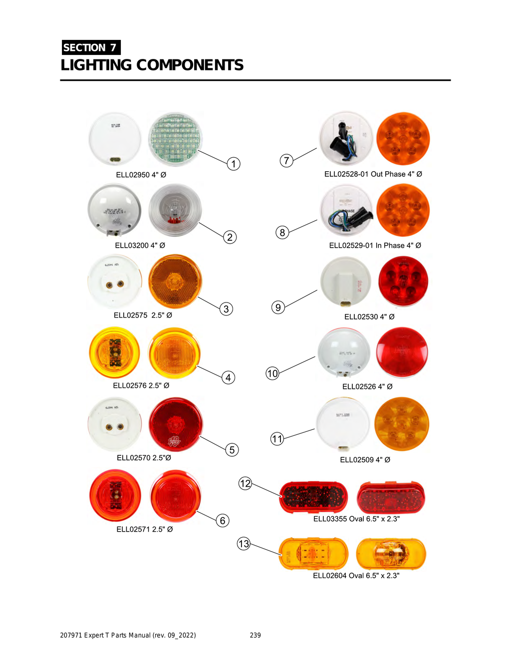 EXPERT - PG 239 - Section 7 - LIGHTING COMPONENTS 1-13