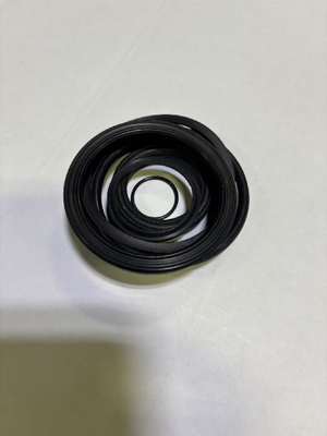 SEAL KIT (4148097)
