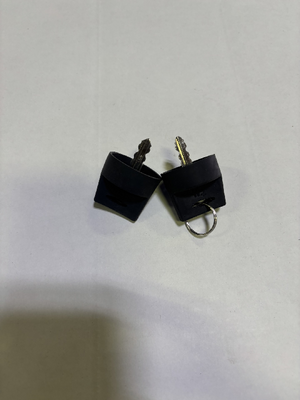 REPLACEMENT KEYS FOR 650-197 (650-1971)