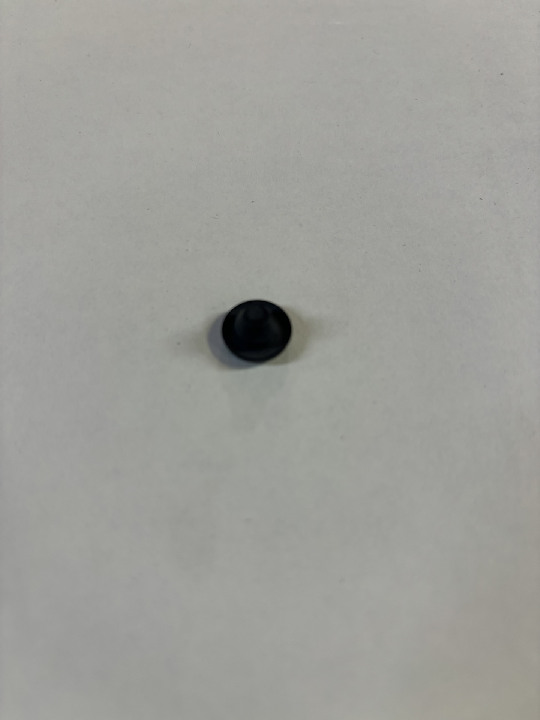 PLUG (710225)
