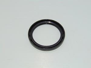 MODIFIED SEAL (BAJ00100)