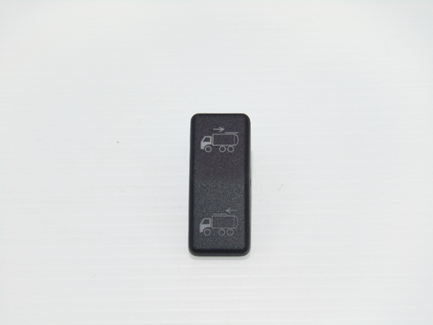 TOP DOOR SWITCH (ELB05007)