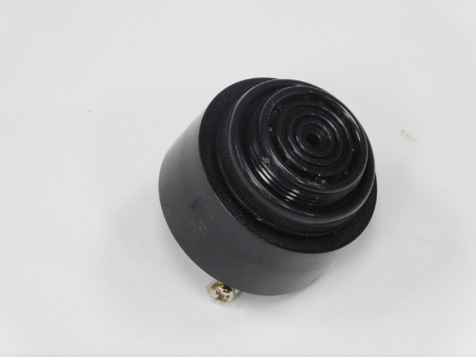 BUZZER (ELR01005)
