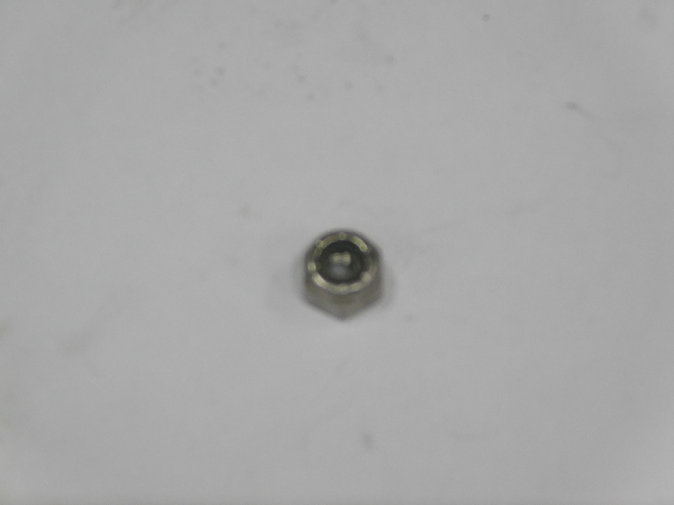 NUT (QUE01071)