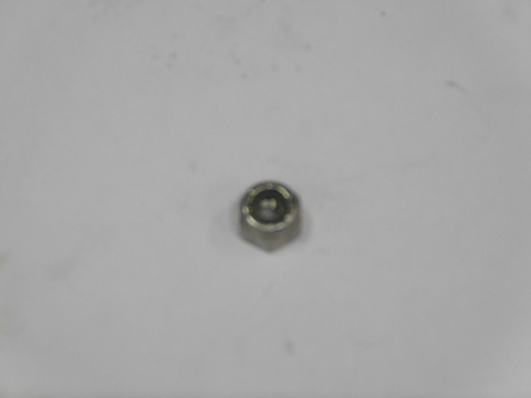 NUT (QUE01071)