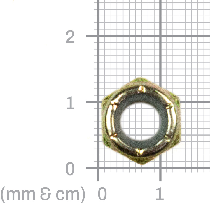 NUT (QUE01205)