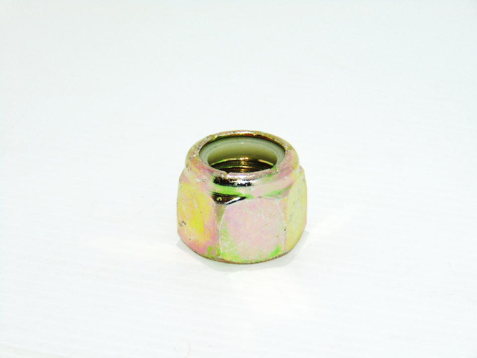 NUT (QUE01800)