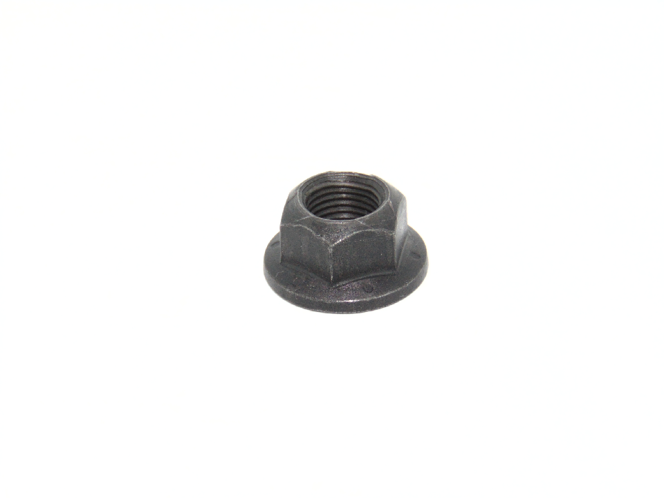 NUT (QUE02360)