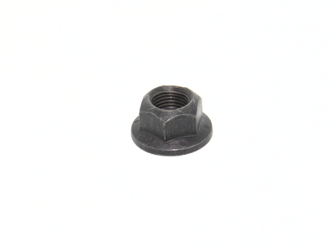 NUT (QUE02360)
