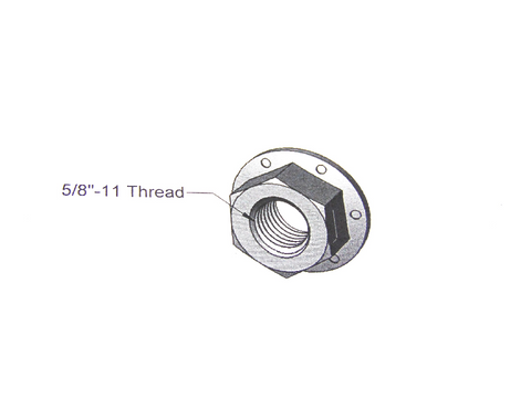 NUT (QUE02405)