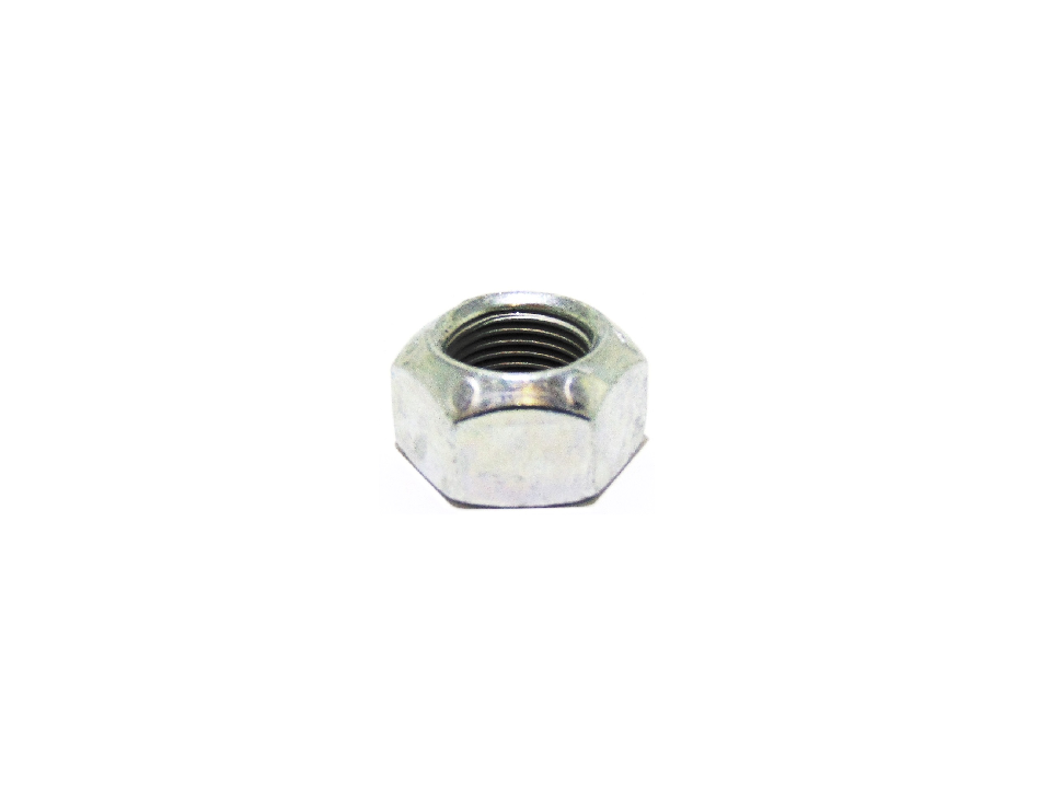 NUT (QUE02416)