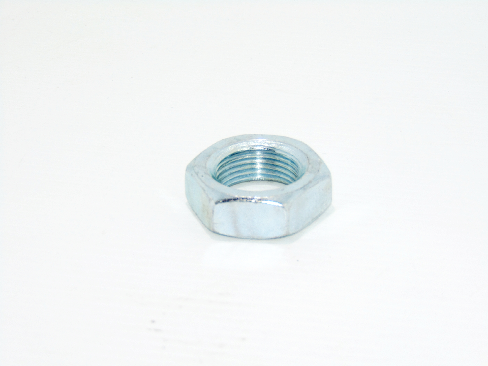NUT (QUE01948)