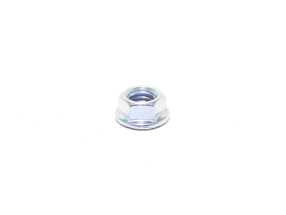 NUT (QUE01997)