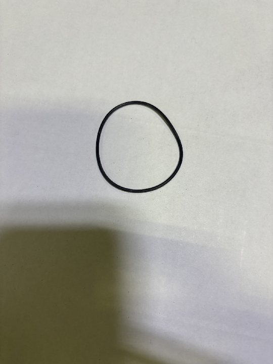 O-RING FILTER ELEMENT (S16-0098)
